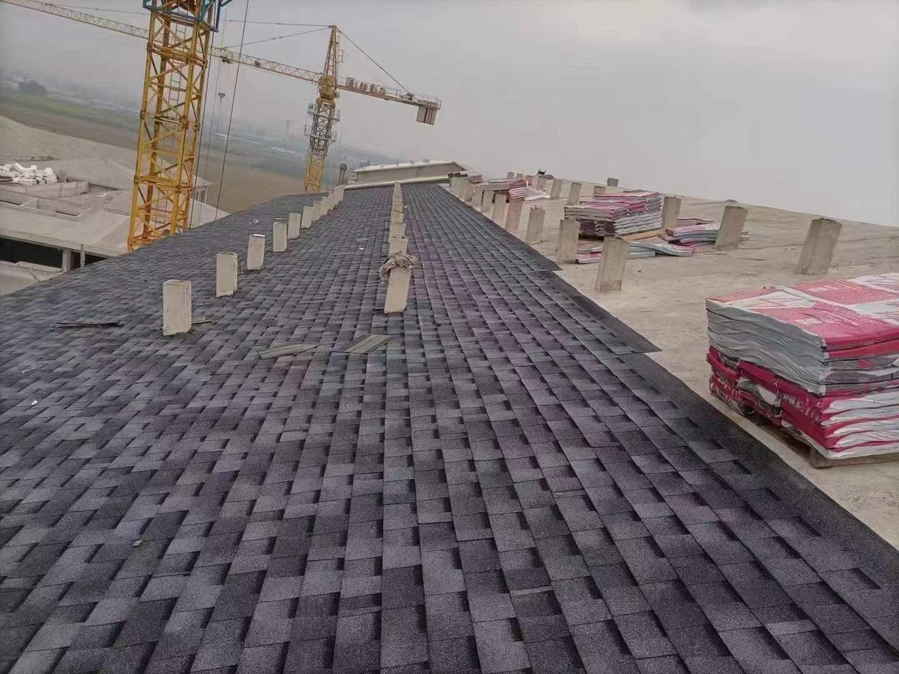Asphalt roofing shingles / Bituminous roofing shingles - Image 10