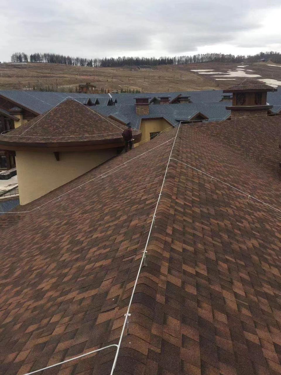 Asphalt roofing shingles / Bituminous roofing shingles - Image 9